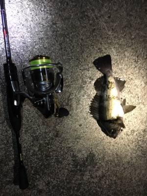 メバリングゲーム