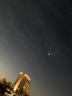 置き去りルアー達