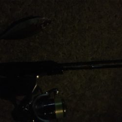 アジングゲーム