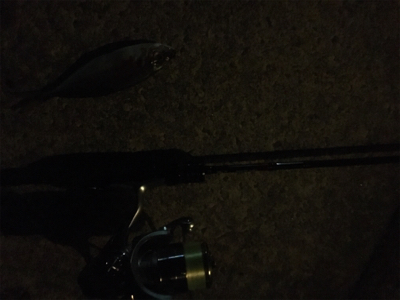 アジングゲーム