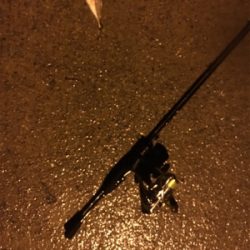 ちょい遠征アジング