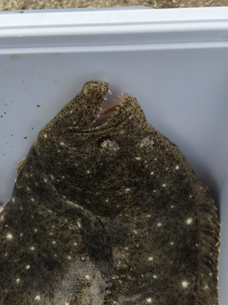 ガス波止投げ釣り