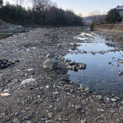 行くべし！入れ喰い芥川。