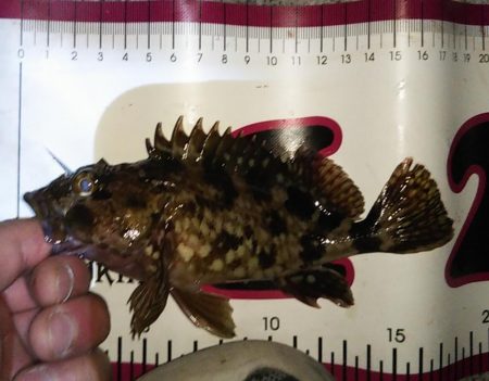 奇跡のセッティング？