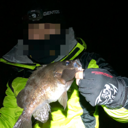 ヤバババーンなメバリング