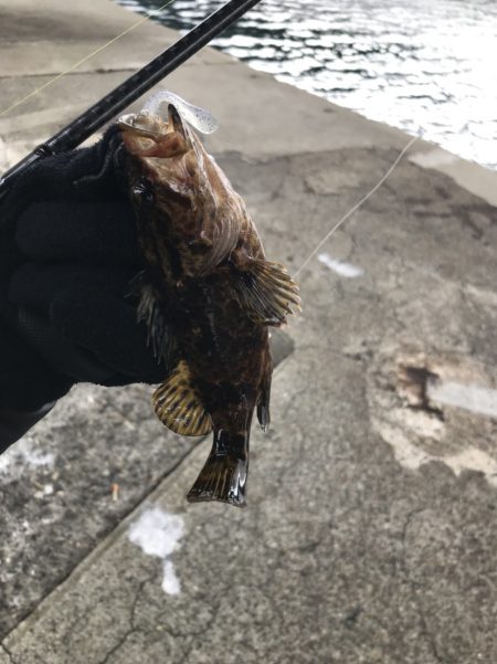 ライトワインド