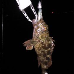 当たりが少ない中なんとか、