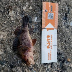 釣り連休最終日