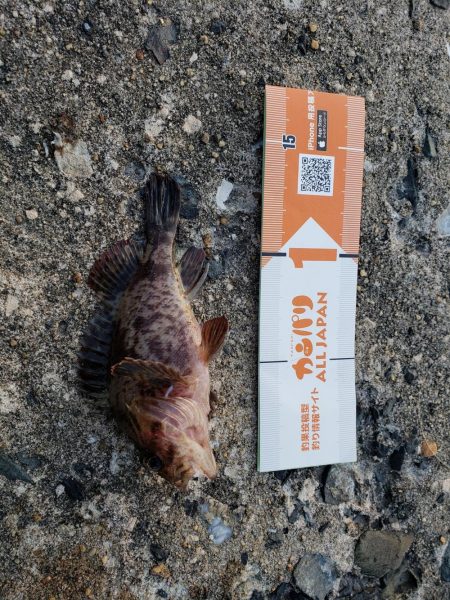 釣り連休最終日