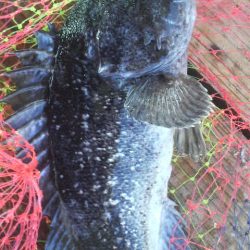 釣り初め 今年大丈夫??