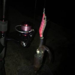 -2℃ 極寒の中でのヒイカ釣りσ(^_^;)