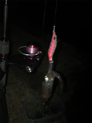 -2℃ 極寒の中でのヒイカ釣りσ(^_^;)