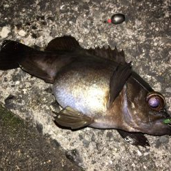 ライトゲーム同窓会