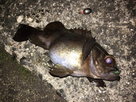 ライトゲーム同窓会