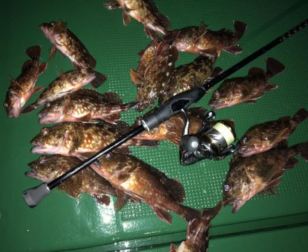 ロックフィッシュゲーム