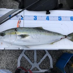 1チャンスGET!!メジロ