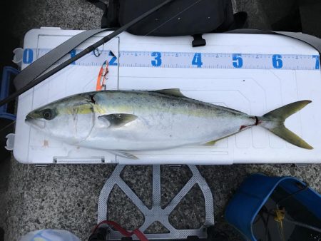 1チャンスGET！！メジロ