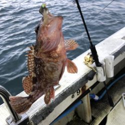 淡路沖 船カサゴ