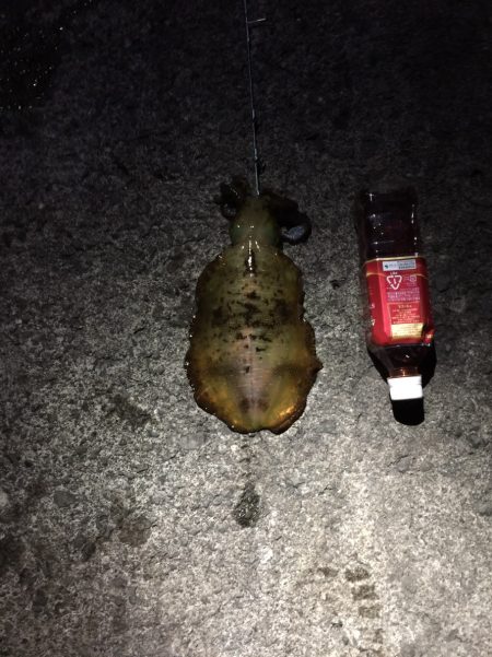 初めてのヤエン