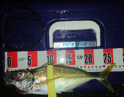 久々に満足、満足