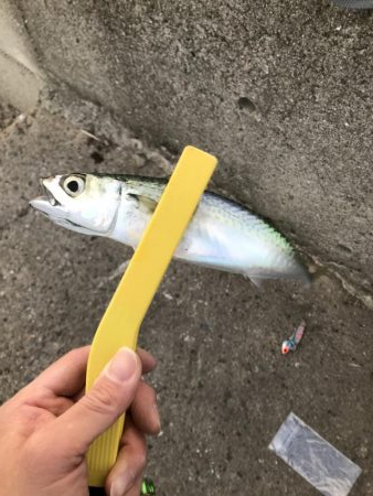 初釣り