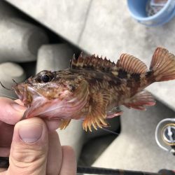 久しぶりの釣り