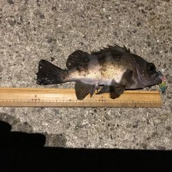 メバプラ ランガン