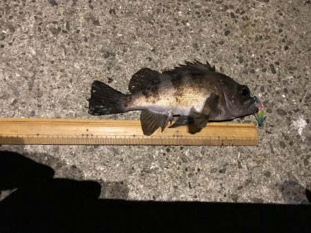 メバプラ ランガン