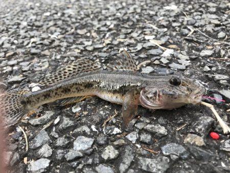 八景島駅下（海の公園前）