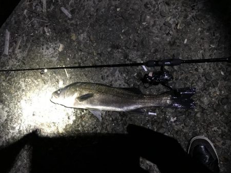 メバリングのはずなのに