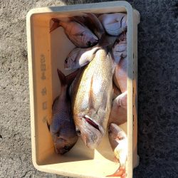 庄門丸伝馬船in印南