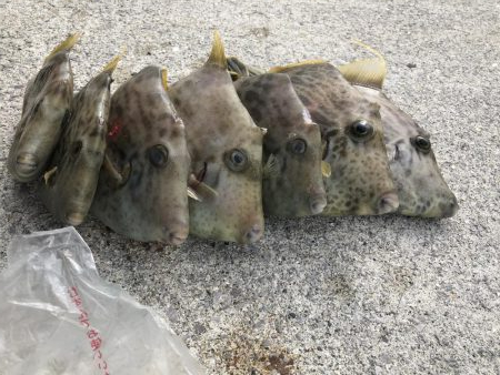 投げ釣り聖地釣行