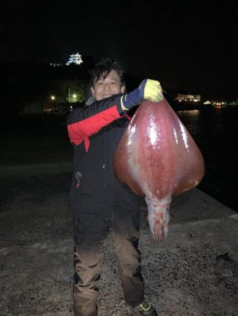 そでいか たるいか