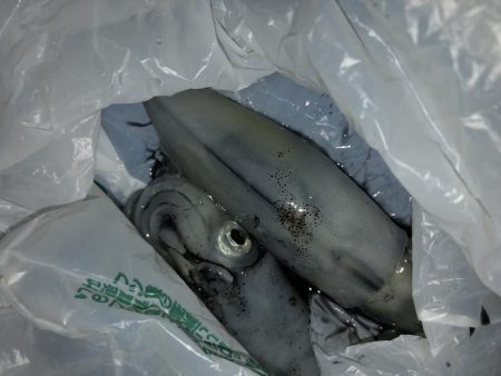 渋いながらもヒイカ