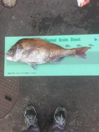 今年初の鯛ラバ