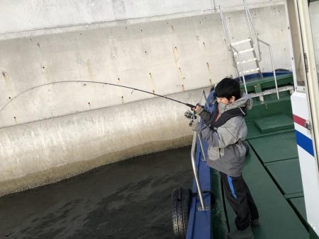 ロックフィッシュか