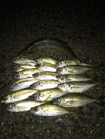 ライトタックルにて