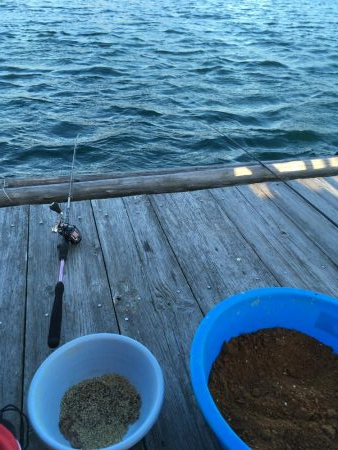 ウチノ海イカダでカレイ