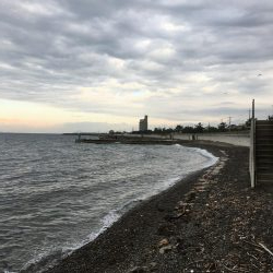 ガシラ、メバル、アイナメ？クジメ？、ギンポ