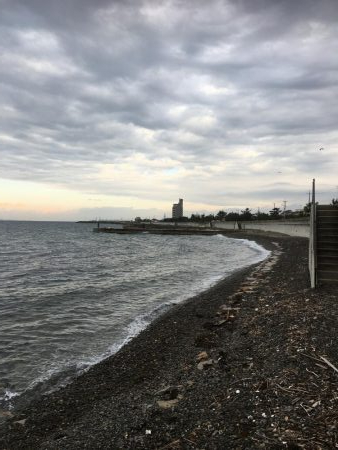 ガシラ、メバル、アイナメ？クジメ？、ギンポ