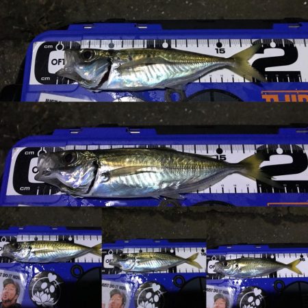 ナイトアジング