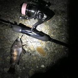 短時間メバリング