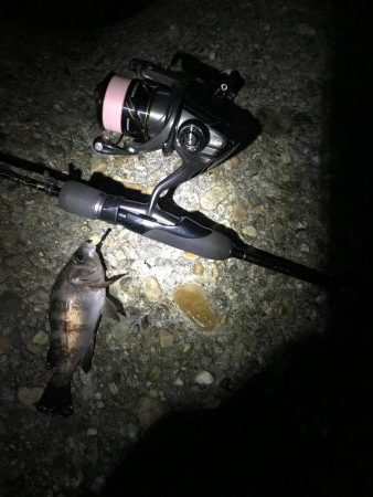 短時間メバリング