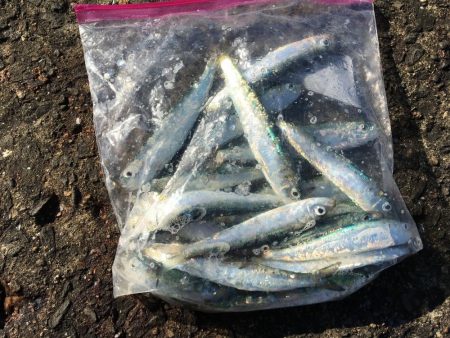 気合いが空回り