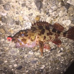 楽しいガシリング！