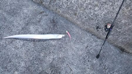 初釣りタッチ～