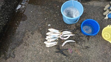 カマス引っかけ