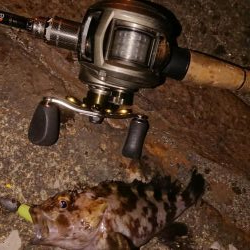 ライトロックゲーム