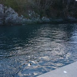 冬のブラクリ調査