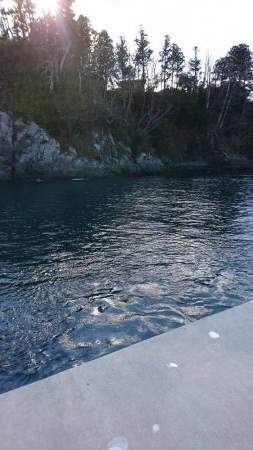 冬のブラクリ調査